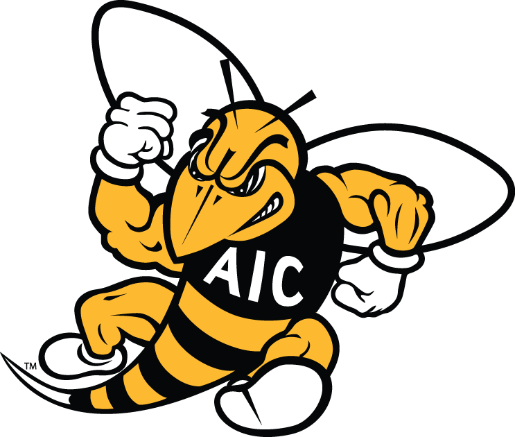 AIC Yellow Jackets 2009-Pres Secondary Logo iron on transfers for fabric
